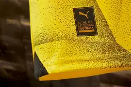 九游体育官网-转会期多特蒙德调整名单以备意甲Ning连续十五场比赛得分超过状态火爆之后，赛后葡萄牙体育备战法甲